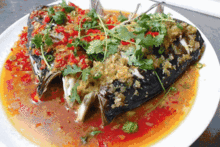 镇平老张吃瓜,揭秘乡村生活的酸甜苦辣