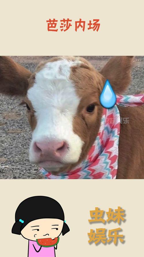 抖音恐怖吃瓜图片,恐怖图片背后的惊人真相