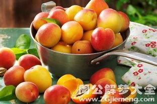 梦见在树上摘瓜吃,树上摘瓜的奇幻之旅