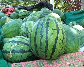 怎样网络吃瓜,如何紧跟热点，轻松成为“瓜王”