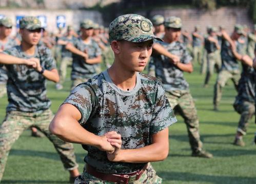 吃瓜封闭军训综艺