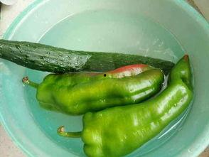 茗香吃瓜,品味生活，畅享悠闲时光