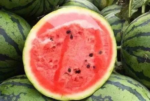 吃瓜保留视频,视频记录下的趣味瞬间