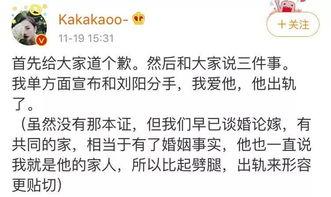 吃瓜渣大王,网络红人的崛起与争议