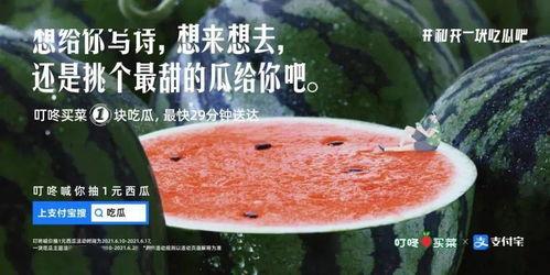 惦记吃瓜文案句子