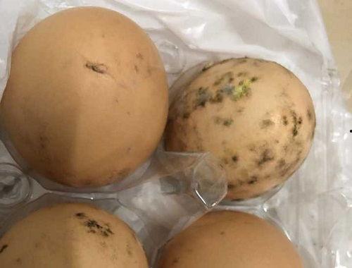 霉菌可以吃生瓜吗,生瓜还能安全食用吗？