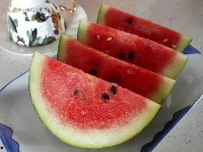 西瓜瓜吃瓜吃瓜吃瓜,一场吃瓜盛宴