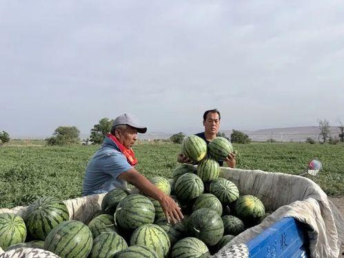 吃瓜千佛山,吃瓜群众的欢乐盛宴