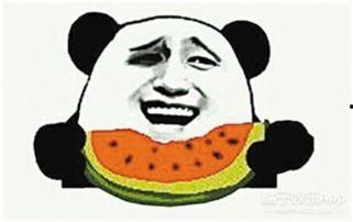 双子男吃瓜群众