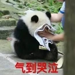 吃瓜吃到绝望,揭秘娱乐圈背后的真相与内幕