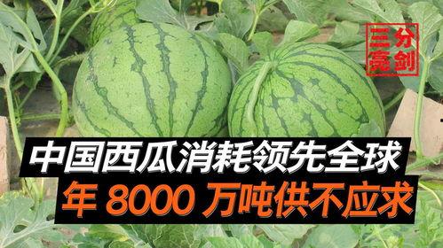 世界吃瓜组织,世界吃瓜组织带你领略各国美食文化