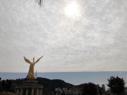 韶关吃瓜群众,揭秘当地美食风云录